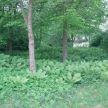 DSCN2406.jpg
