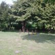 DSCN2408.jpg