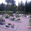 DSCN2429.jpg
