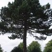 sonderborg-018.jpg