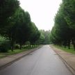sonderborg-066.jpg
